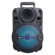 اسپیکر چمدانی 803 ویلیکو