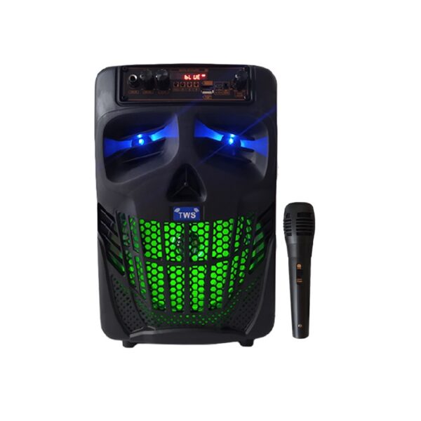 اسپیکر چمدانی WILLICO W66