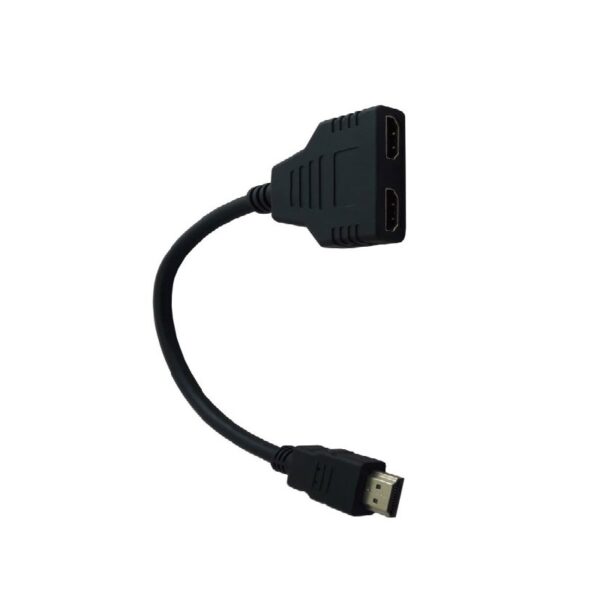 تبدیل2به1 HDMI پی نت