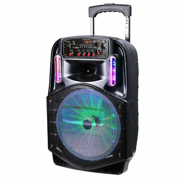 اسپیکر چمدانی CH 8613 پی نت