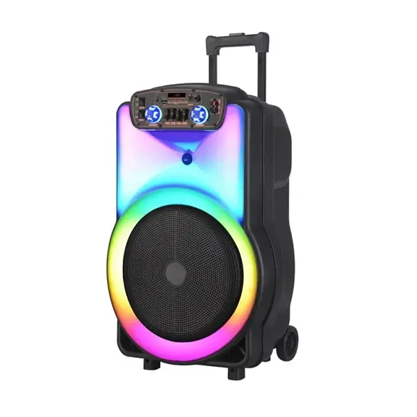 اسپیکر چمدانی NDR Y15