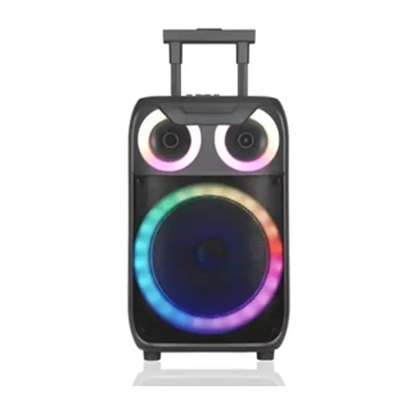 اسپیکر چمدانی NDR C15